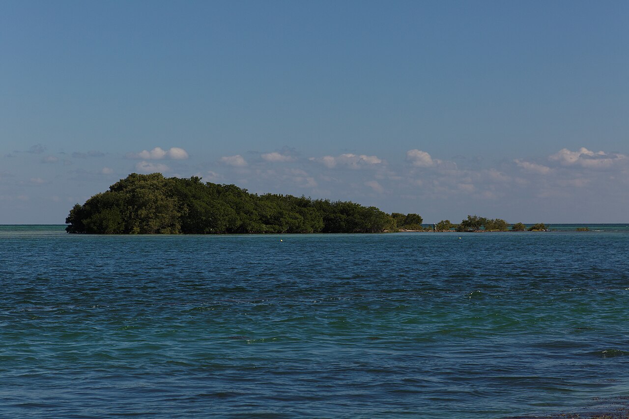 Blue water and a mangrove island at Bahia Honda State Park